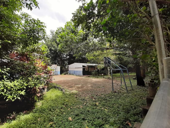 Finca cafetalera en venta de 86 manzanas en Tepecoyo - foto 4