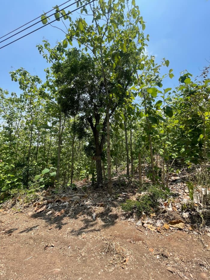 Lote en venta Residencial Mirador del Mar por cuotas - foto 4