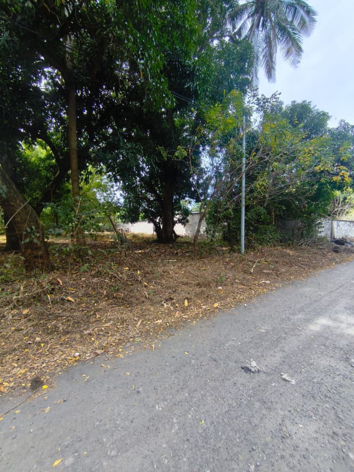 Terreno 7,696 varas cuadradas en San Diego La Libertad - foto 9