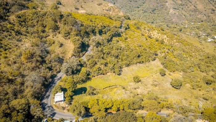 Finca en venta Jayaque La Libertad 53 manzanas - foto 3