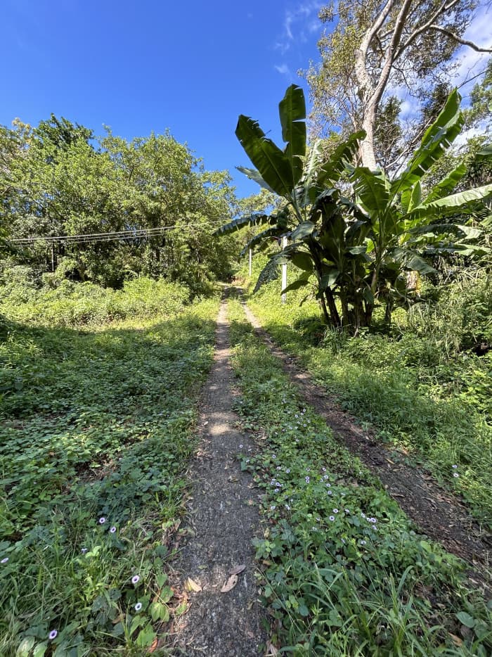 Terrenos en venta en Huizucar La Libertad - foto 6