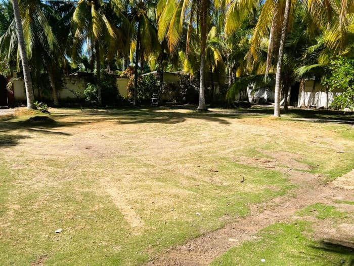 Terreno de 2 Mz orilla de playa Surf City La Libertad - foto 5