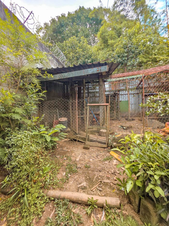 Hermosa casa tipo Quinta en Los Planes de Renderos - foto 19