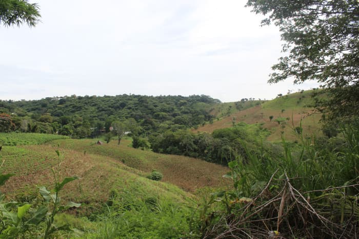 Terreno en venta cerca de Tuscania - foto 5