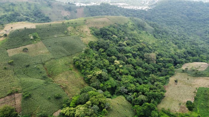 Terreno en venta al lado de Residencial Los Manantiales - foto 13