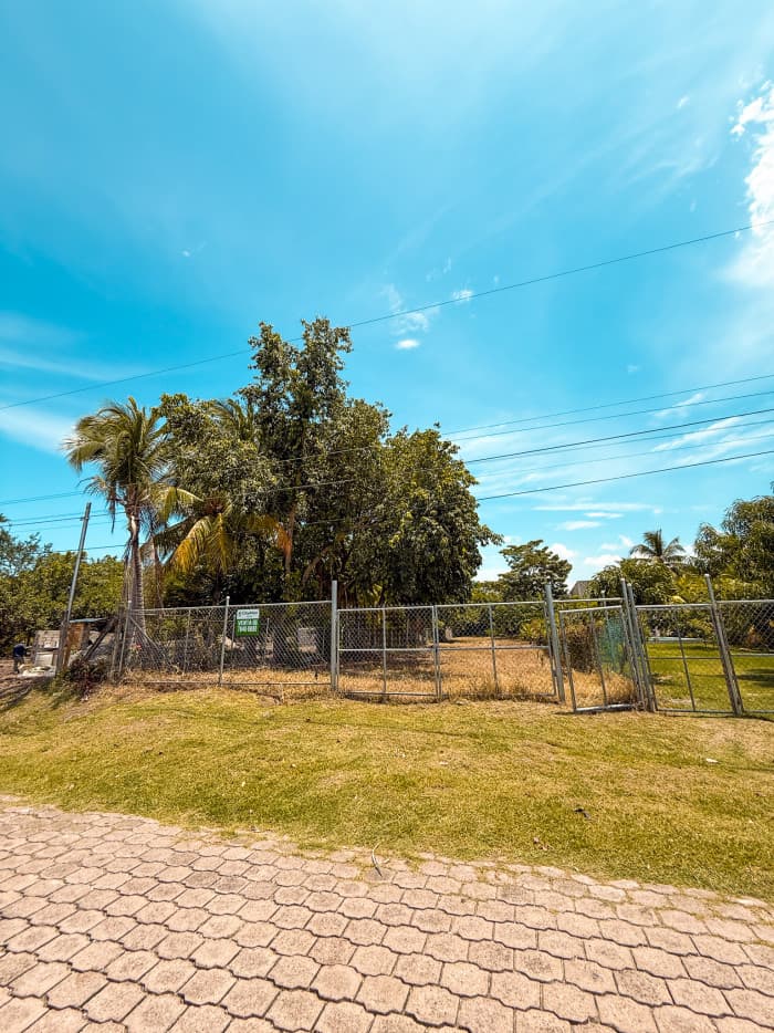 Lote en Residencial Villas de Salinitas III Sonsonate - foto 7