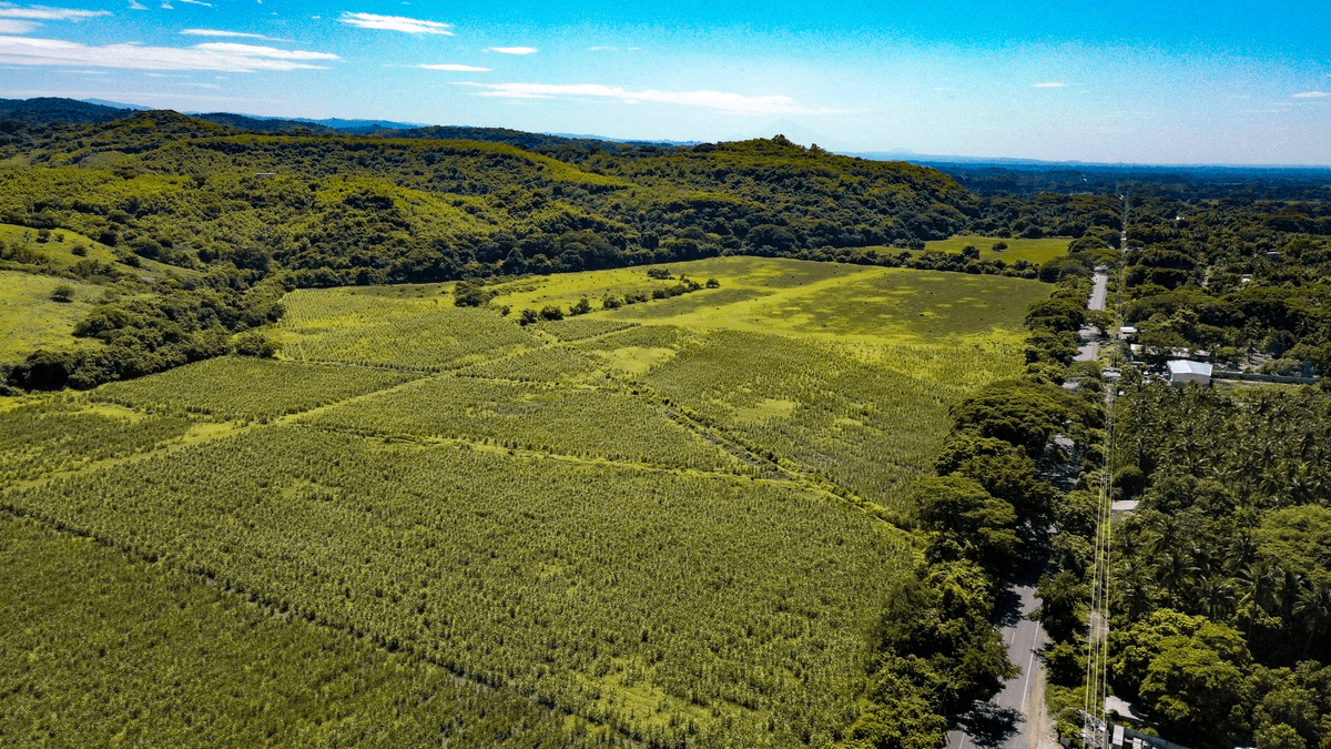 Terreno en venta para desarrollo en La Libertad - foto 1