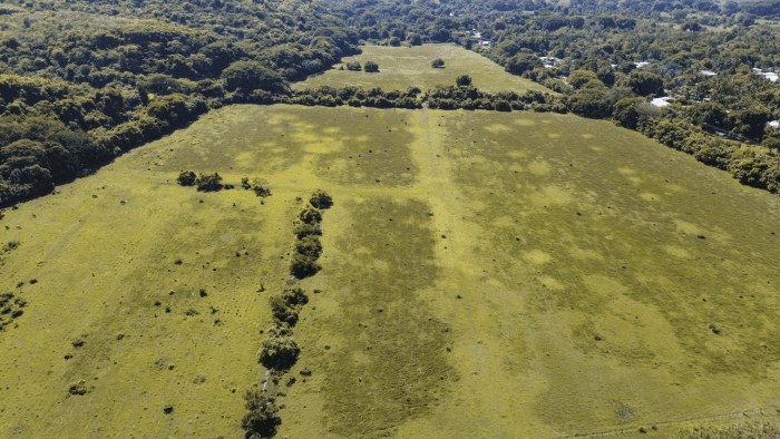 Terreno en venta para desarrollo en La Libertad - foto 8