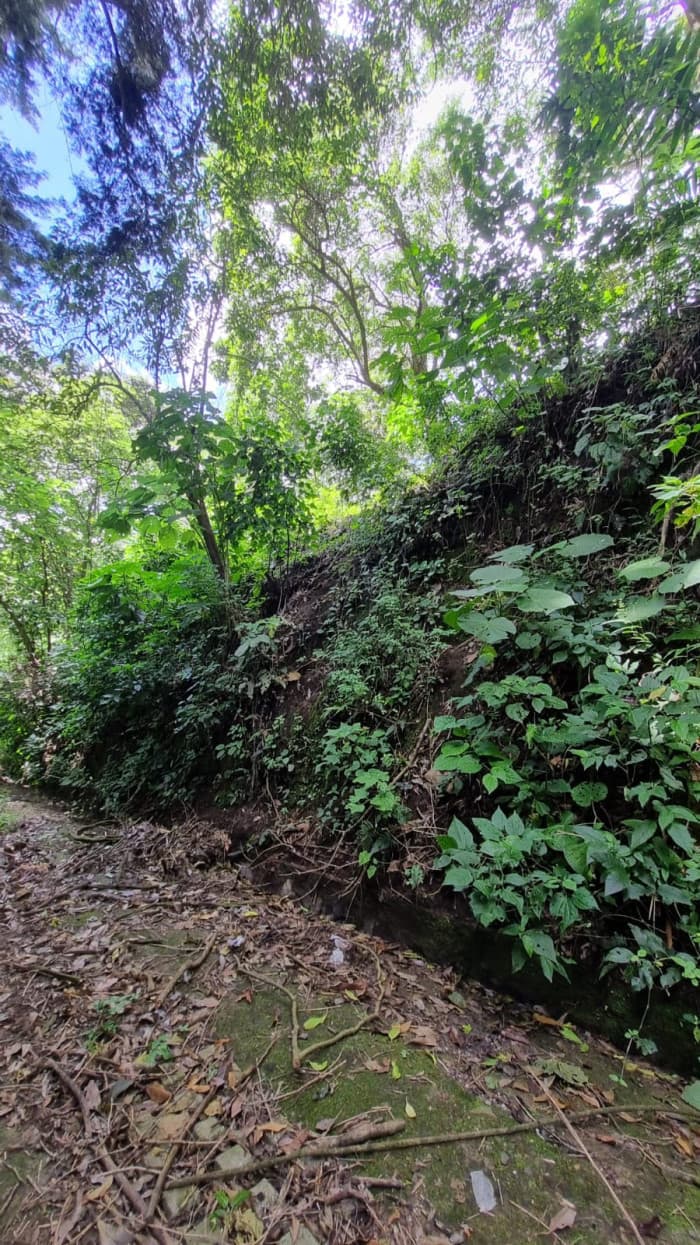 Venta de terreno con vista panorámica calle al Boquerón - foto 3