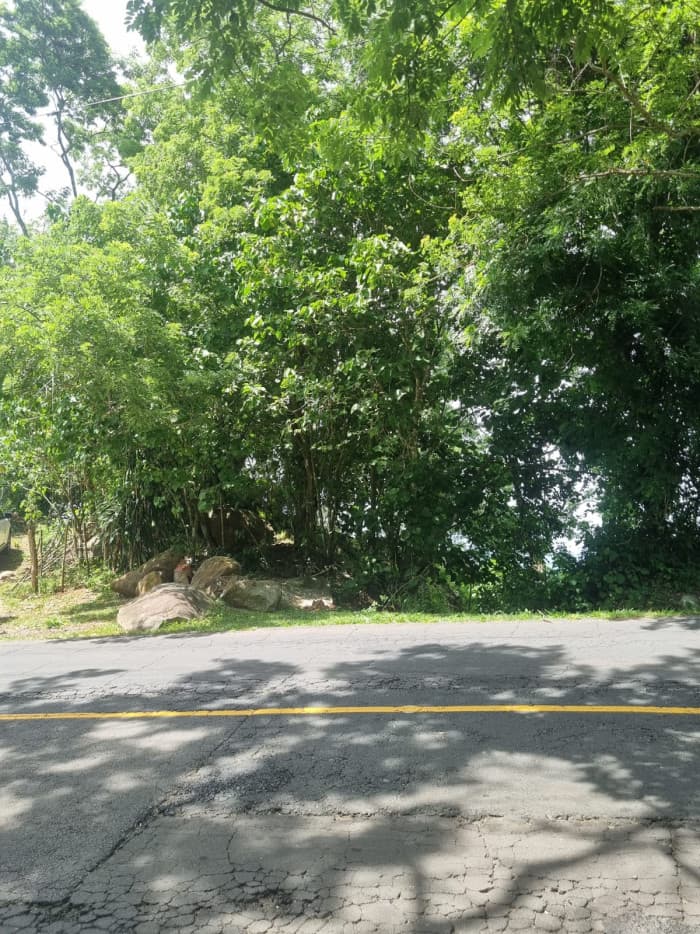 Terreno en venta carretera Panorámica La Paz - foto 10