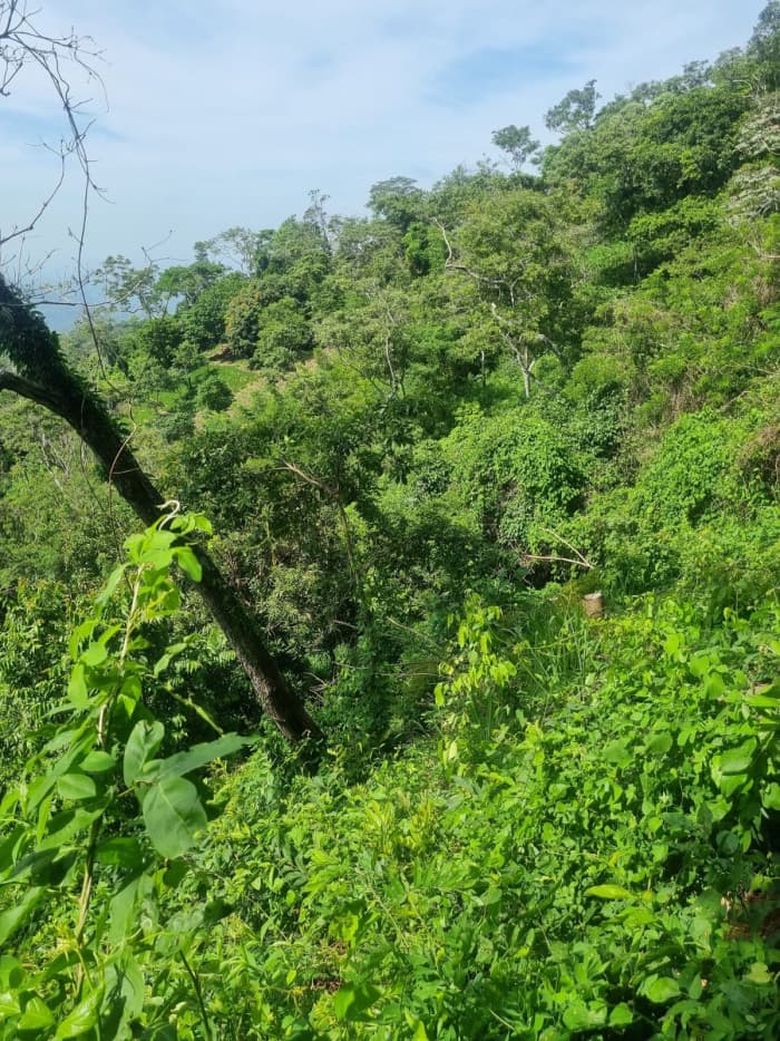 Terreno en venta carretera Panorámica La Paz - foto 8