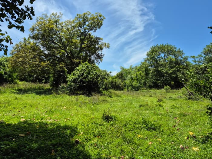 Terreno agrocomercial en venta en Quezaltepeque - foto 4