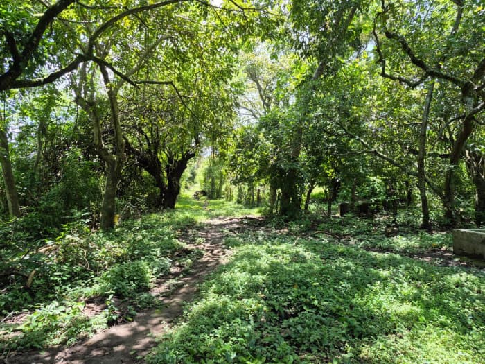 Terreno agrocomercial en venta en Quezaltepeque - foto 3