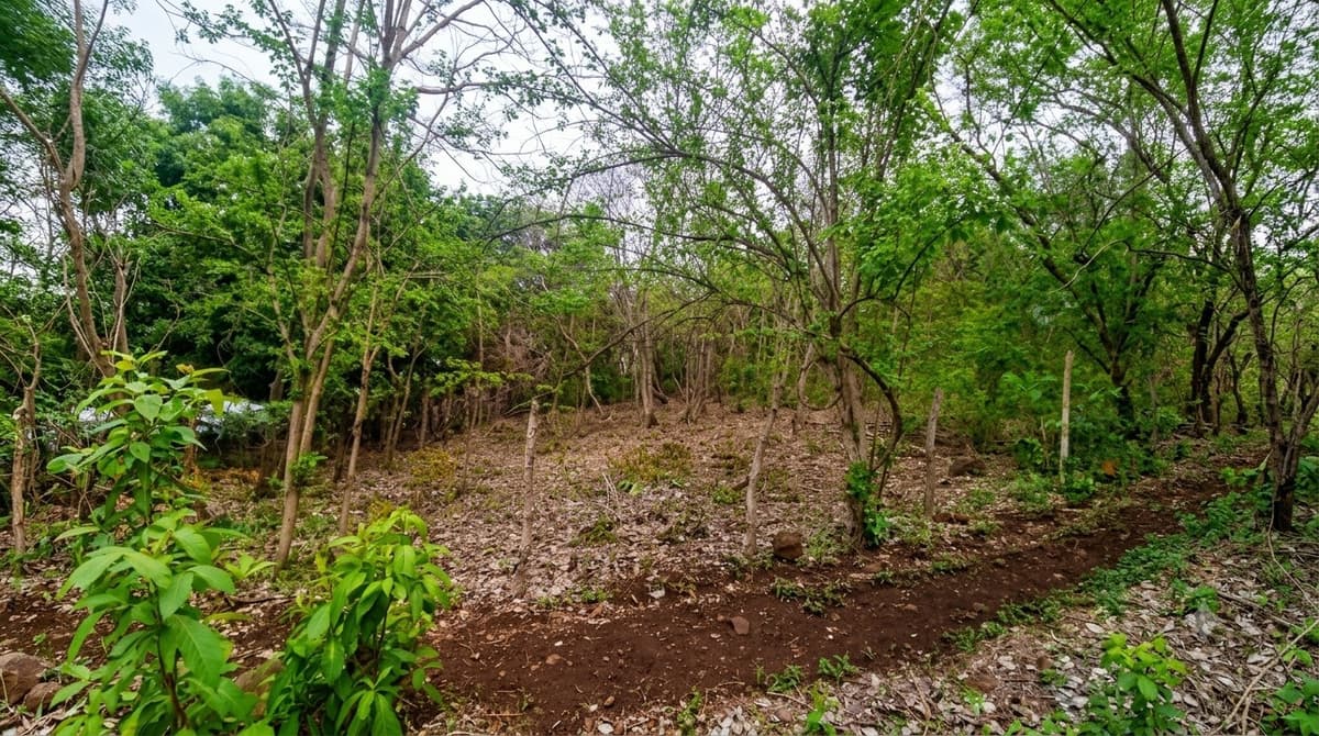 Lote en venta en El Zonte La Libertad Surf City - foto 2