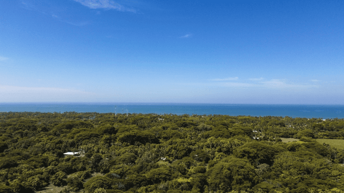 Terreno en venta para desarrollo en La Libertad - foto 4