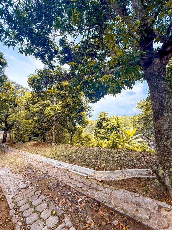 Terreno en carretera al Puerto Residencial El Cortijo - foto 10