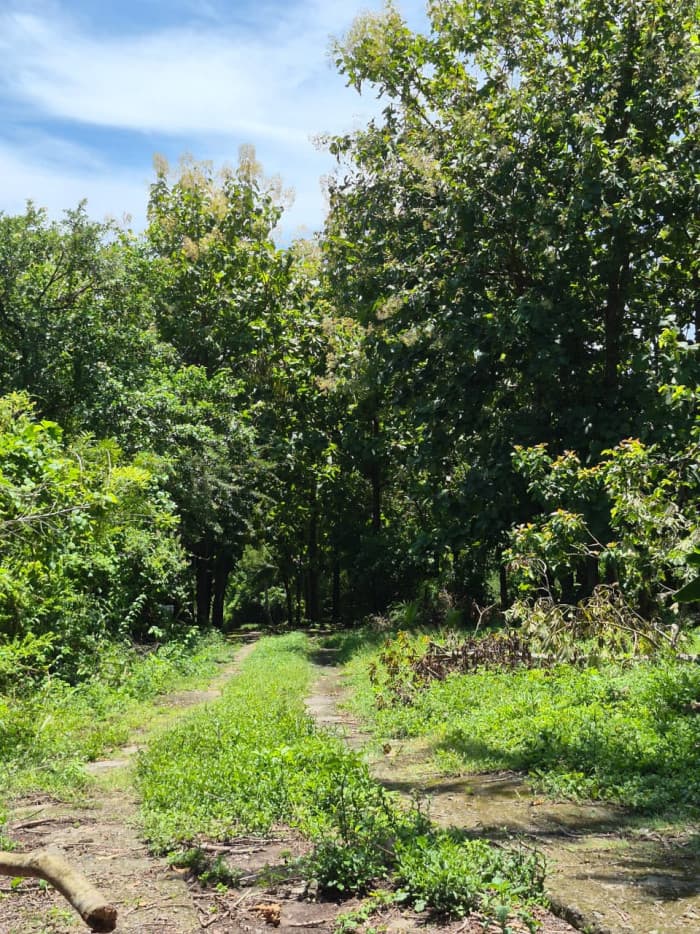 Terreno agrocomercial en venta en Quezaltepeque - foto 9