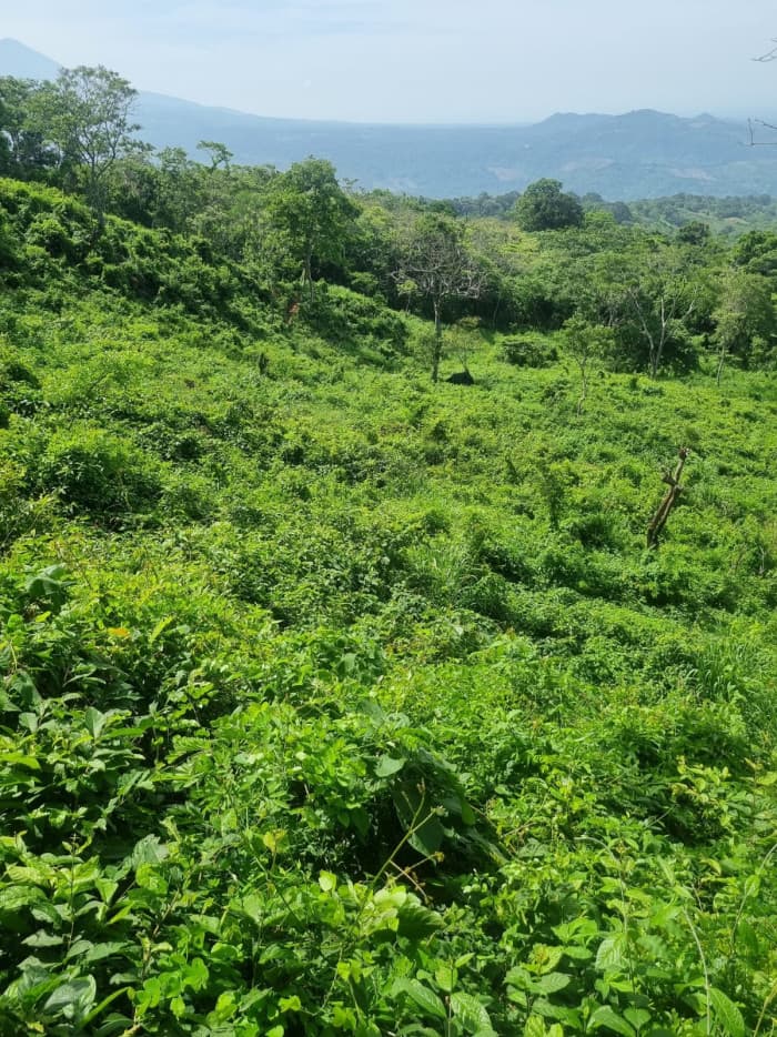 Terreno en venta carretera Panorámica La Paz - foto 9