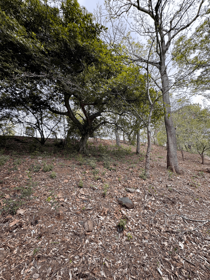 Terreno Las Luces de esquina a precio de ganga 1815 vrs - foto 3