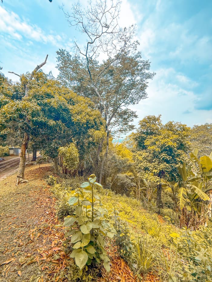 Terreno en carretera al Puerto Residencial El Cortijo - foto 6