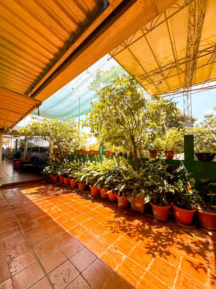 Casa en venta en el centro de Tamanique La Libertad - foto 7