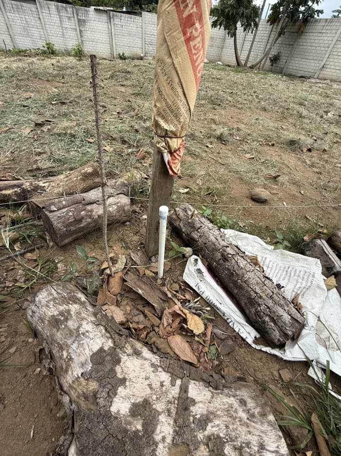 Terreno en venta en el centro de Salcoatitán - foto 7