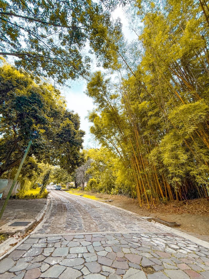 Terreno en carretera al Puerto Residencial El Cortijo - foto 3