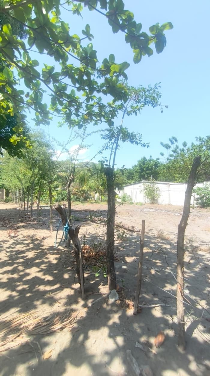 Terreno en venta playa San Diego La Libertad - foto 4