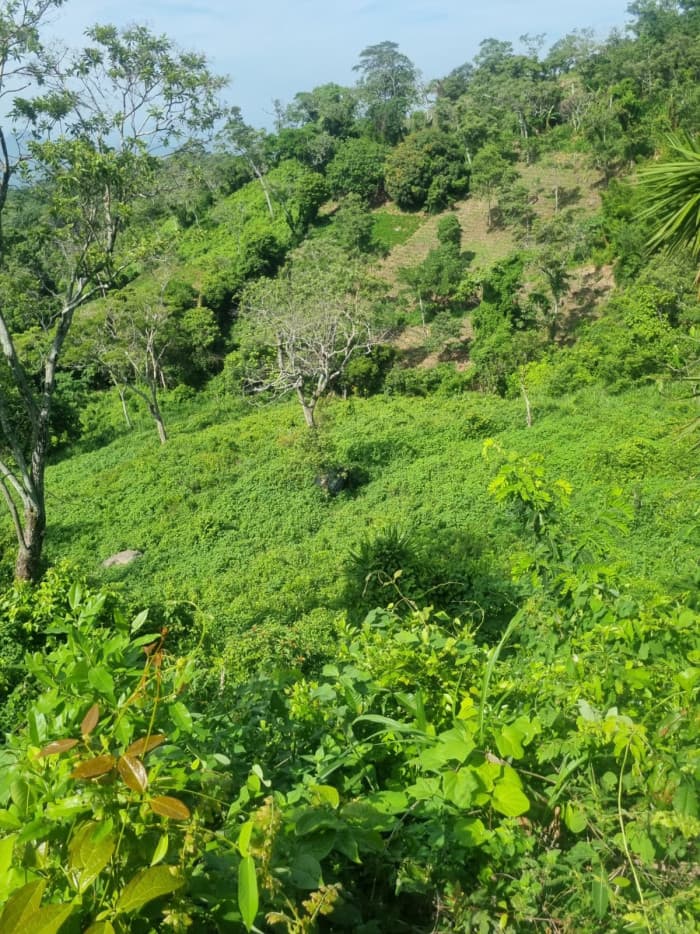 Terreno en venta carretera Panorámica La Paz - foto 2