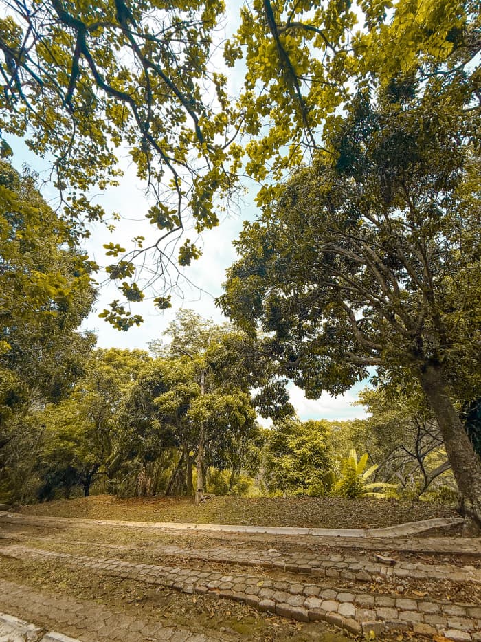 Terreno en carretera al Puerto Residencial El Cortijo - foto 9