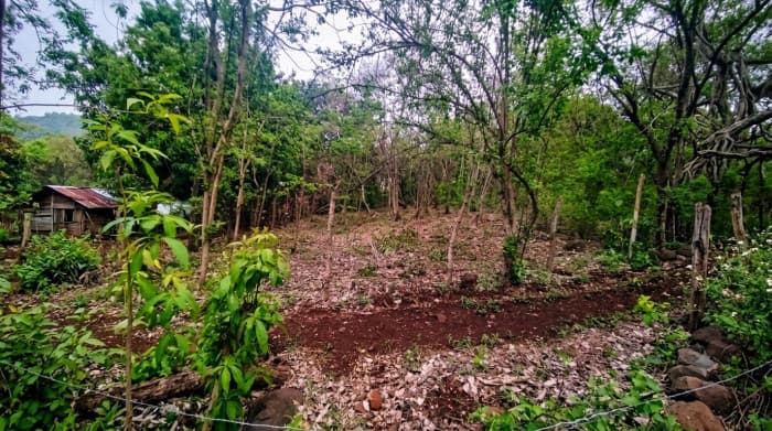 Lote en venta en El Zonte La Libertad Surf City - foto 4