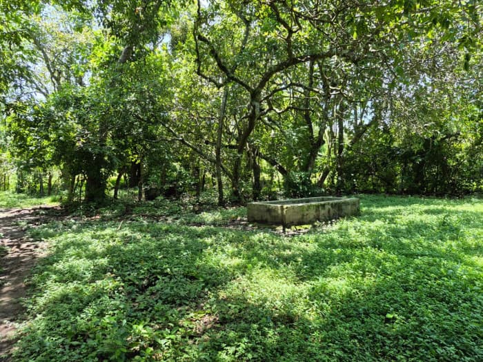 Terreno agrocomercial en venta en Quezaltepeque - foto 6