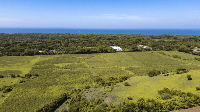 Terreno en venta para desarrollo en La Libertad - foto 7