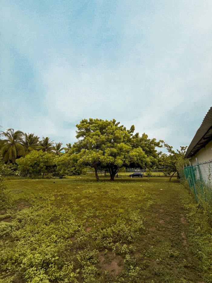 Lotes en venta en playa El Espino Usulután - foto 5