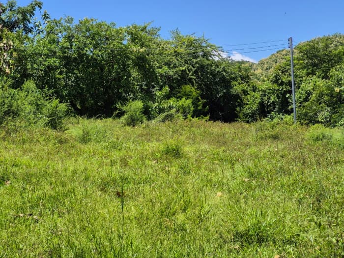 Terreno agrocomercial en venta en Quezaltepeque - foto 7