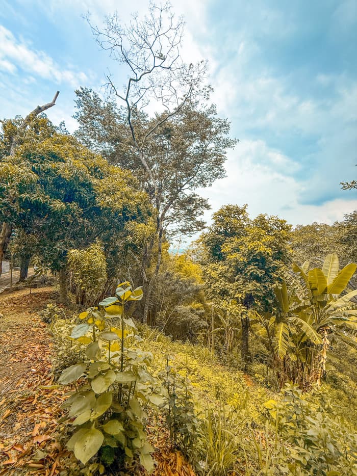 Terreno en carretera al Puerto Residencial El Cortijo - foto 8