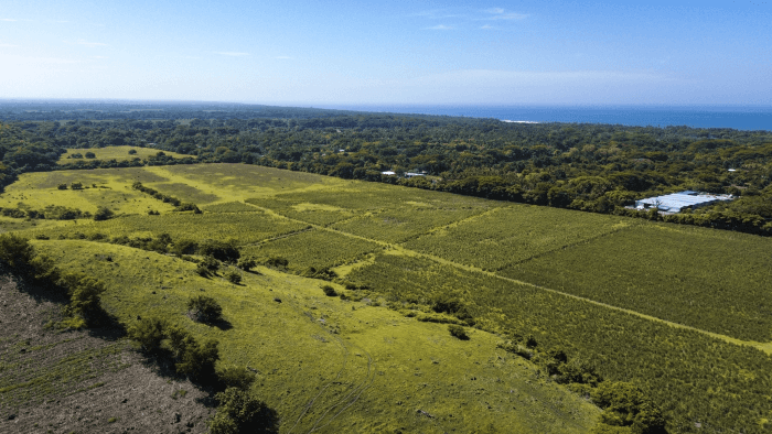 Terreno en venta para desarrollo en La Libertad - foto 5