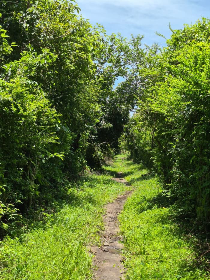 Terreno agrocomercial en venta en Quezaltepeque - foto 2