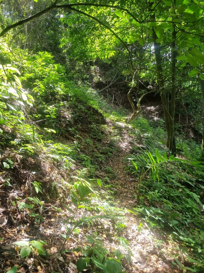 Terreno en venta carretera Panorámica La Paz - foto 5