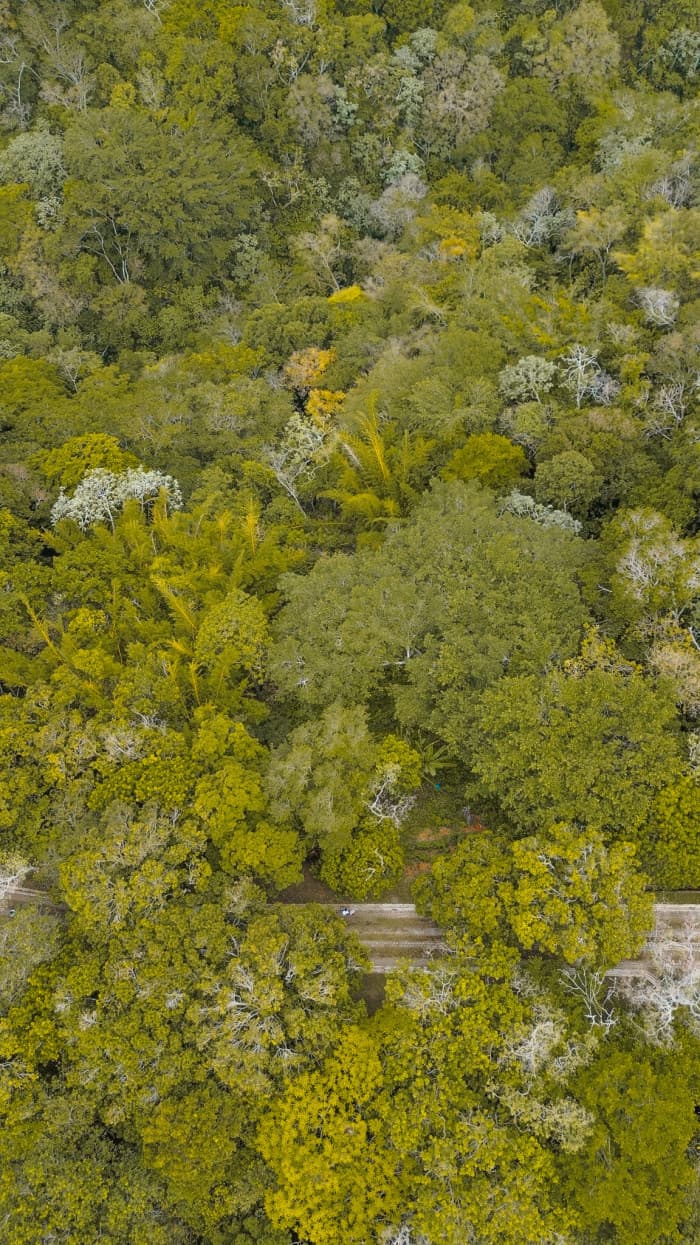 Terreno en carretera al Puerto Residencial El Cortijo - foto 12