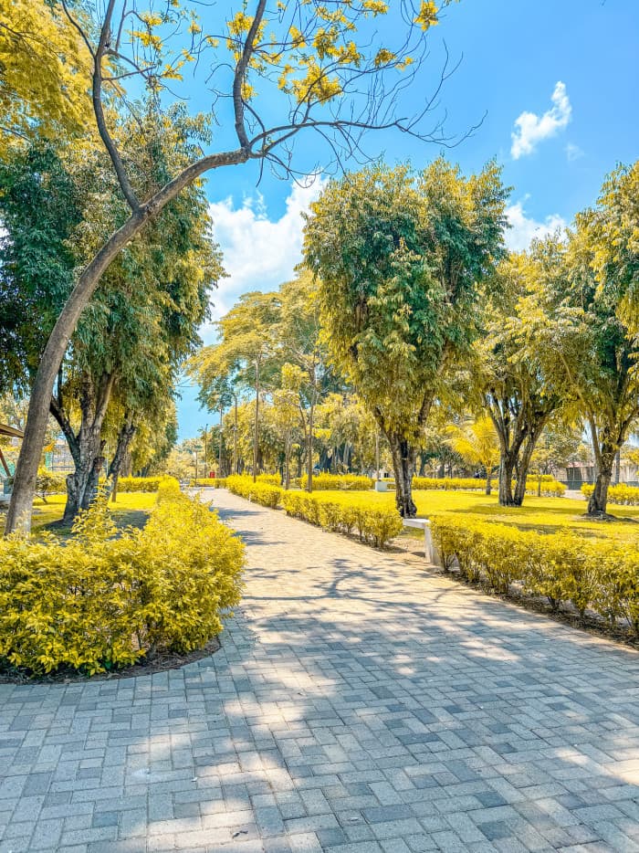 Casa con jardín en Quintas de San Agustín Lourdes - foto 16