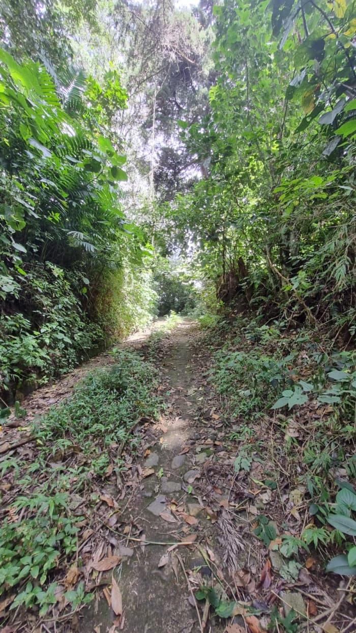 Venta de terreno con vista panorámica calle al Boquerón - foto 4